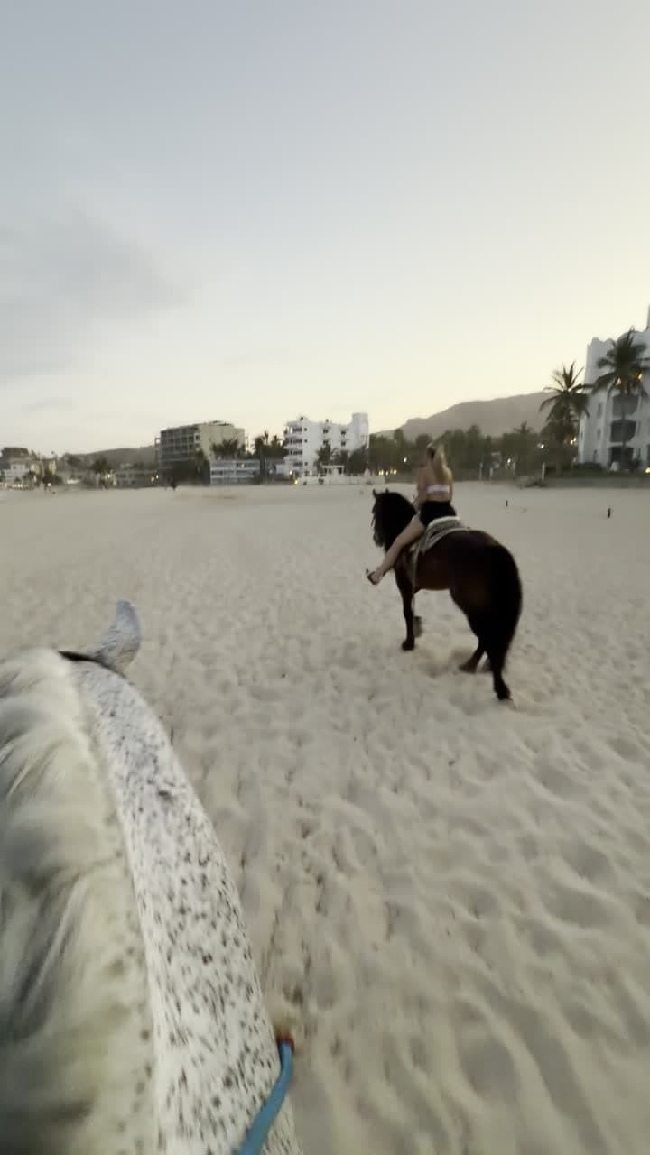 Horseback Beach Ride